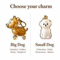 The PawLocket Charm